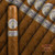 Montecristo Platinum Robusto (5 x 50)