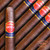 Punch Clasico Natural Magnum (5 1/4 x 54)