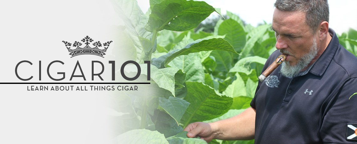 Off the Wall Info - Cigars International - Cigar 101