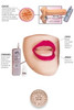 BLOW HARD LIPS – BOUCHE VIBRANTE