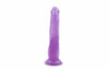 8.0 Inch Double Dildo – Purple