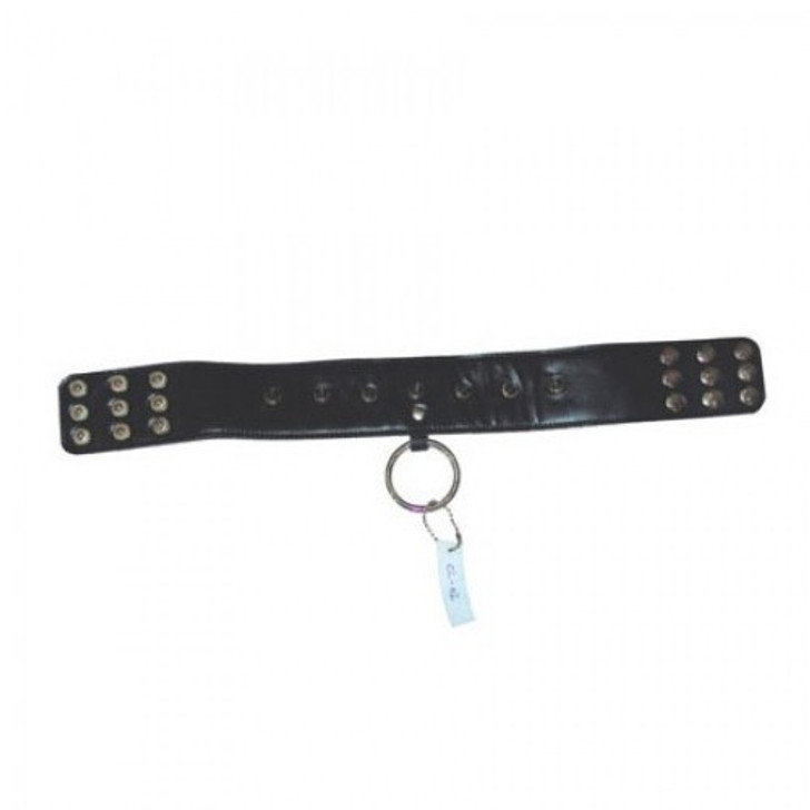 BDSM leather collar with rivets