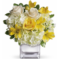 Teleflora's Sweetest Sunrise Bouquet | Salvy the Florist