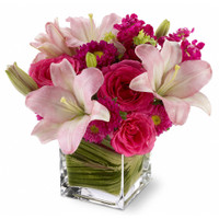Posh Pinks for Autumn | Salvy the Florist Posh Pinks for Autumn | Salvy the Florist
