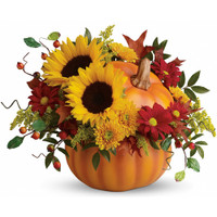 Teleflora's Pretty Pumpkin Bouquet | Salvy the Florist Teleflora's Pretty Pumpkin Bouquet | Salvy the Florist
