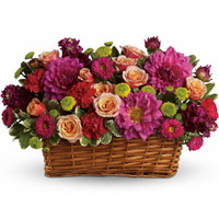 Burst of Radiance Basket Arrangement | Salvy the Florist