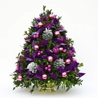 Holiday Happiness Second Edition Boxwood Tree | Salvy the Florist