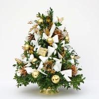 Golden Dove Second Edition Boxwood Tree | Salvy the Florist