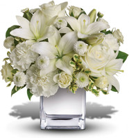 Peace & Joy Bouquet | Salvy the Florist