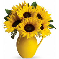 Sunny Day Pitcher of Sunflowers for Autumn | Salvy the Florist