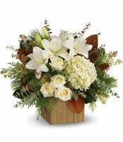Teleflora's Snowy Woods Christmas Bouquet | Salvy the Florist Teleflora's Snowy Woods Christmas Bouquet | Salvy the Florist