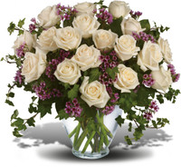 Gentle Condolences  | Salvy the Florist Gentle Condolences  | Salvy the Florist