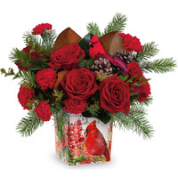 Teleflora's Joyful Cardinal Bouquet | Salvy the Florist Teleflora's Joyful Cardinal Bouquet | Salvy the Florist