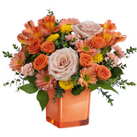 Teleflora's Orange Splendor Bouquet | Salvy the Florist Teleflora's Orange Splendor Bouquet | Salvy the Florist