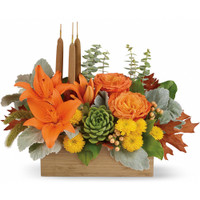 Teleflora's Fall Garden | Salvy the Florist