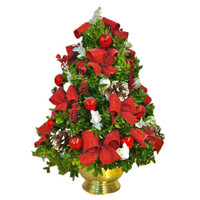 Santa's Favorite 2025 Limited Edition Boxwood Tree | Salvy the Florist
