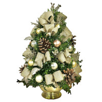 Champagne Toast 2025 Limited Edition Boxwood Tree | Salvy the Florist