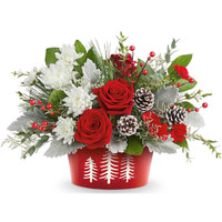  Teleflora's Snowy Pines | Salvy the Florist