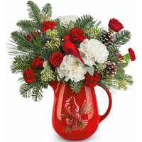 Teleflora's Scarlet Cardinal Bouquet | Salvy the Florist