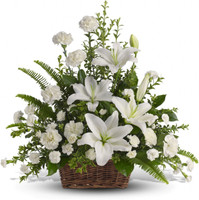 Peaceful White Lilies Sympathy Basket | Salvy The Florist Peaceful White Lilies Sympathy Basket | Salvy The Florist