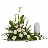 Stately Lilies for Cremation | Salvy The Florist Stately Lilies for Cremation | Salvy The Florist