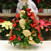 The Christmas Swirl Boxwood Tree | Salvy the Florist