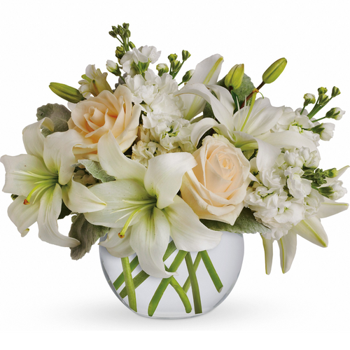  Isle of White for Mother's Day | Salvy The Florist