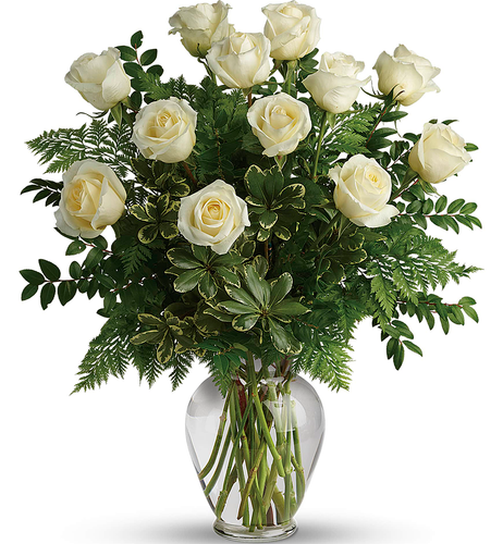 Joy of Roses Mother's Day Bouquet - 12 White Roses | Salvy the Florist