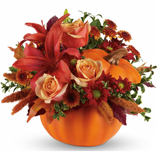 Autumn's Joy by Teleflora | Salvy the Florist