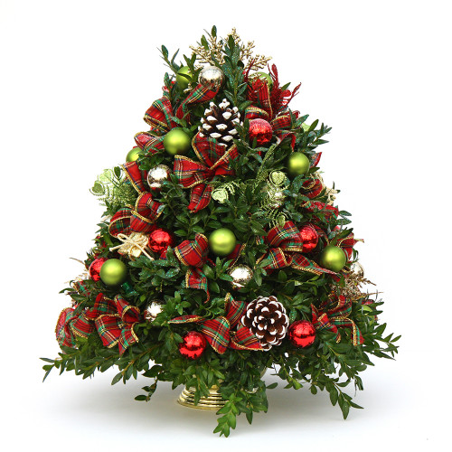  Holiday Magic Boxwood Tree  | Salvy the Florist