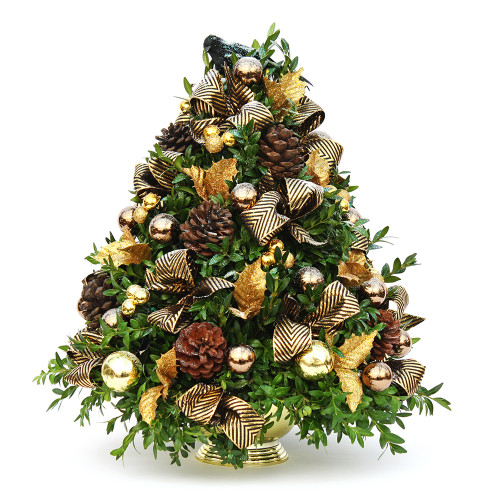 Beautiful Blackbird Boxwood Tree  | Salvy the Florist