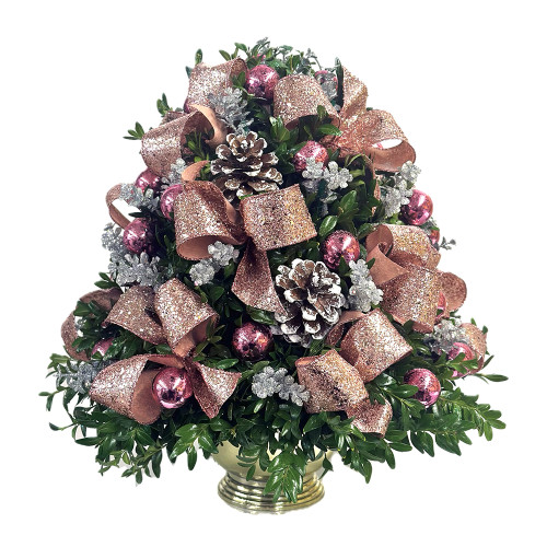 Glamorous Tidings Boxwood Tree | Salvy the Florist
