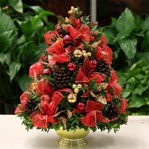 Deck the Halls Christmas Boxwood Tree | Salvy the Florist