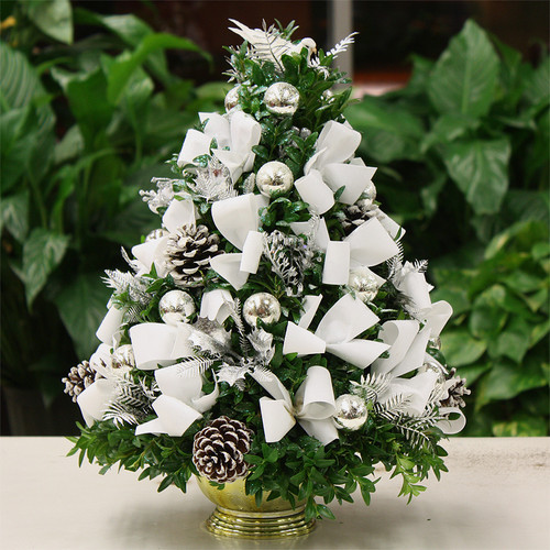 Peace on Earth Christmas Boxwood Tree | Salvy the Florist