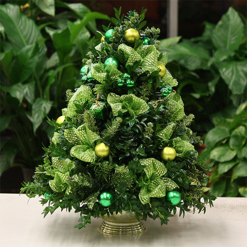 Christmas Shimmer Boxwood Tree | Salvy the Florist