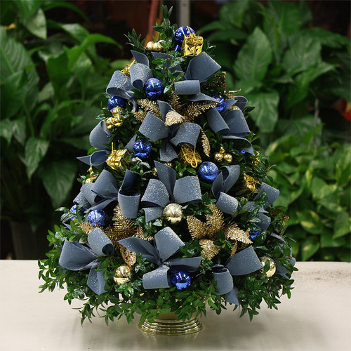 Tis the Season Boxwood Tree | Salvy the Florist