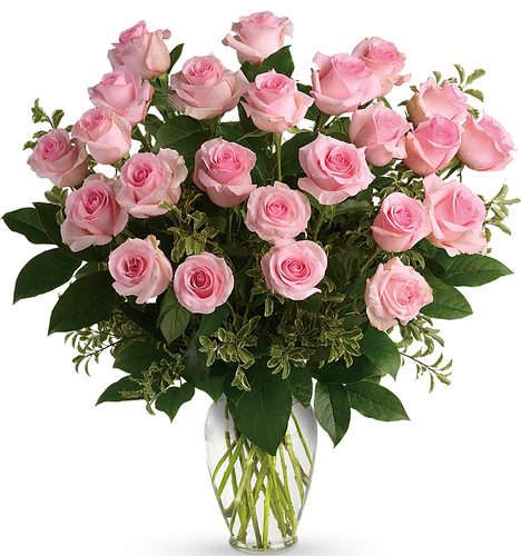 Say Something Sweet Premium Valentine's Day Bouquet - 24 Light Pink Roses | Salvy the Florist
