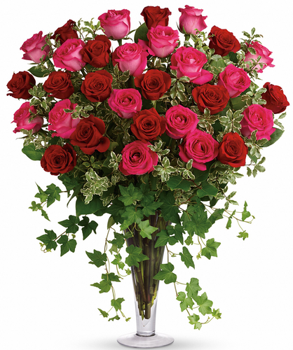Dreaming in Pink Premium Valentine's Day Bouquet - 15 Hot Pink and 15 Red Roses | Salvy the Florist