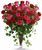 Dreaming in Pink Premium Mother's Day Bouquet - 15 Pink and 15 Red Roses | Salvy the Florist