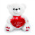 Talking "I Love You" Teddy Bear - 18" | Salvy the Florist