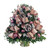 Glamorous Tidings Boxwood Tree | Salvy the Florist