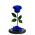 Dome Eva: Preserved Blue Roses & Glass Dome | Salvy the Florist