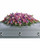 Lavender Tribute Casket Spray | Salvy the Florist