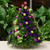 Santa's Favorite Christmas Boxwood Tree | Salvy the Florist