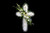Salvy's Pure Love Cross | Salvy the Florist