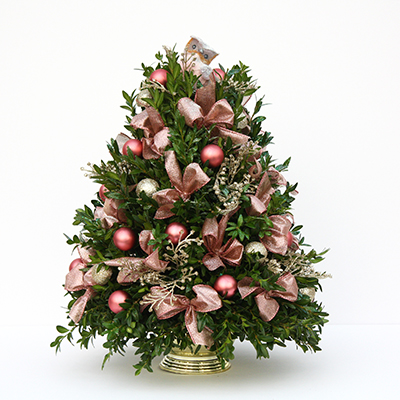 Medium Boxwood Tree by Salvy the Florist