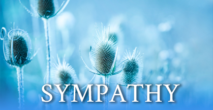 Sympathy Arrangements by Salvy the Florist