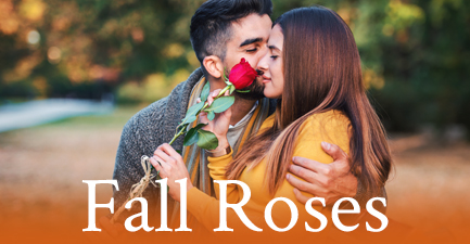 Beautiful Rose Bouquets by Salvy the Florist