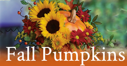 Fall Flowers in Ceramic Pumpkins by Salvy the Florist