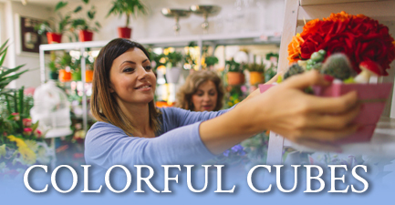 Mother's Day Flowers in Cubes by Salvy the Florist